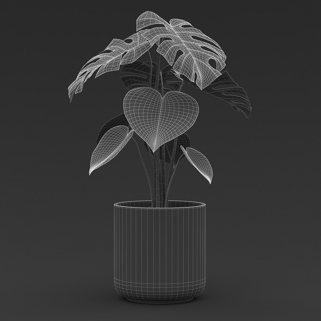 Cheese Plant II 3D model https://p.turbosquid.com/ts-thumb/eo/HJBcnl/Mr/cheeseplant2_g3/jpg/1681238579/1920x1080/fit_q87/535f7e8313d40ad30068cb84b8d76e3b04b0b677/cheeseplant2_g3.jpg