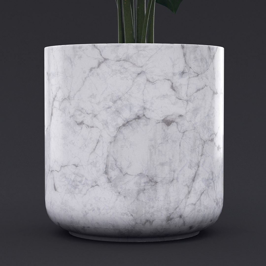 Cheese Plant II 3D model https://p.turbosquid.com/ts-thumb/eo/HJBcnl/Wy/cheeseplant2_7/jpg/1681238575/1920x1080/fit_q87/024f426fd08e6842c4327fcdcd068cfeca3d522a/cheeseplant2_7.jpg
