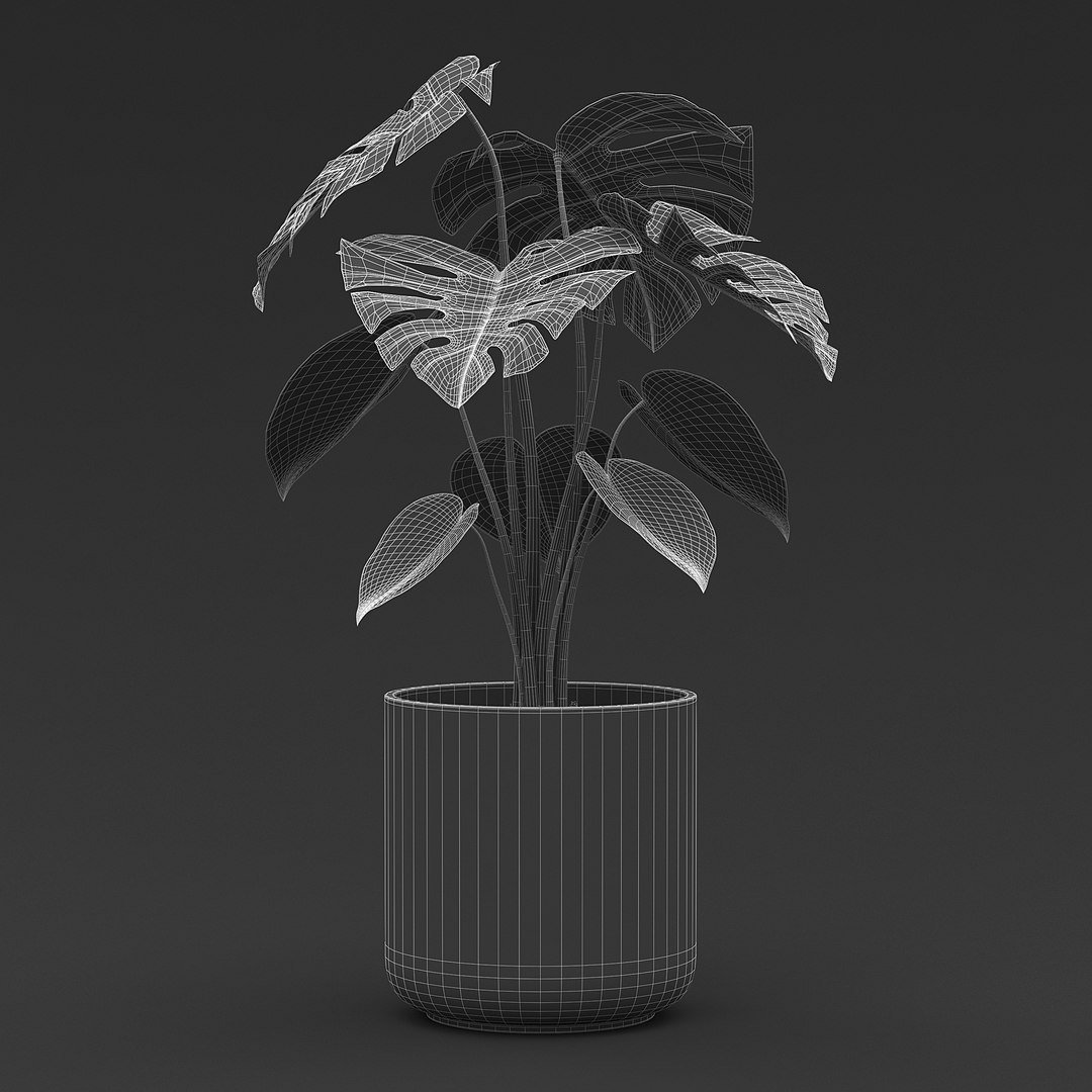 Cheese Plant II 3D model https://p.turbosquid.com/ts-thumb/eo/HJBcnl/fe/cheeseplant2_g2/jpg/1681238578/1920x1080/fit_q87/2e5e3297f047098e8c7bd0020dd52145c1cf8bb1/cheeseplant2_g2.jpg