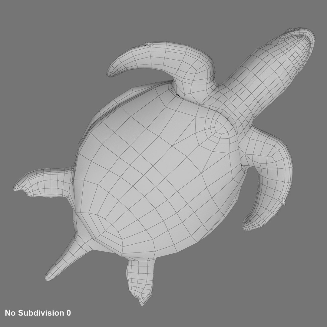 green sea turtle animations model https://p.turbosquid.com/ts-thumb/eo/IaWSGq/0LG7smfk/wireframe_03/jpg/1586350561/1920x1080/fit_q87/6e3e2193941ba87ea0042eecee98bcb2c1269120/wireframe_03.jpg