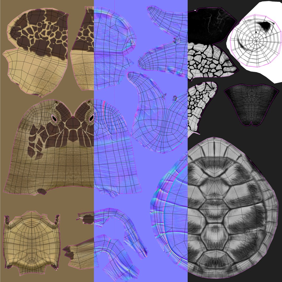 green sea turtle animations model https://p.turbosquid.com/ts-thumb/eo/IaWSGq/I6SthGq5/uvw/jpg/1586350571/1920x1080/fit_q87/0c6c75d10c9eb7148559cd8134213f985dc2d2ab/uvw.jpg