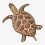 Gree Sea Turtle