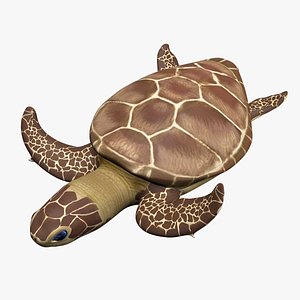 green sea turtle animations model