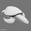 Gree Sea Turtle