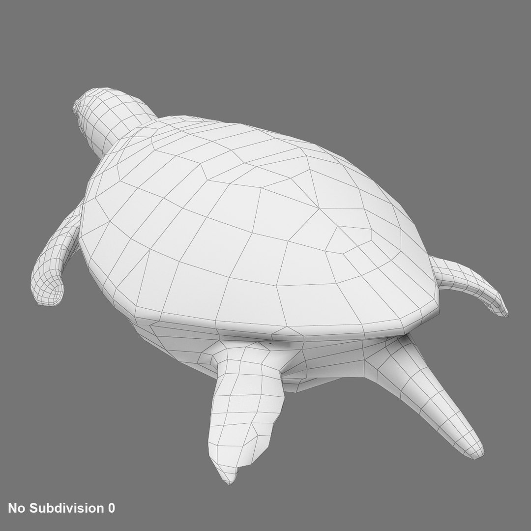 green sea turtle animations model https://p.turbosquid.com/ts-thumb/eo/IaWSGq/m4C6JlwM/wireframe_02/jpg/1586350561/1920x1080/fit_q87/a5e1ca6969295cce3efa01ec5cfe6a630e318590/wireframe_02.jpg