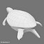 Gree Sea Turtle