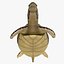 Gree Sea Turtle