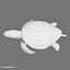 Gree Sea Turtle