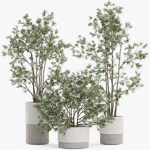 3D Plants collection 912