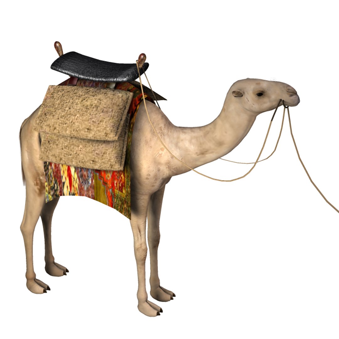 saddle bag poser prop 3d model https://p.turbosquid.com/ts-thumb/eo/MY2Qpu/Gw1ovN4O/camelsaddlebags2/png/1417642101/1920x1080/fit_q87/6df7230444c01503b03123dc30ddb41a0fc92cb8/camelsaddlebags2.jpg