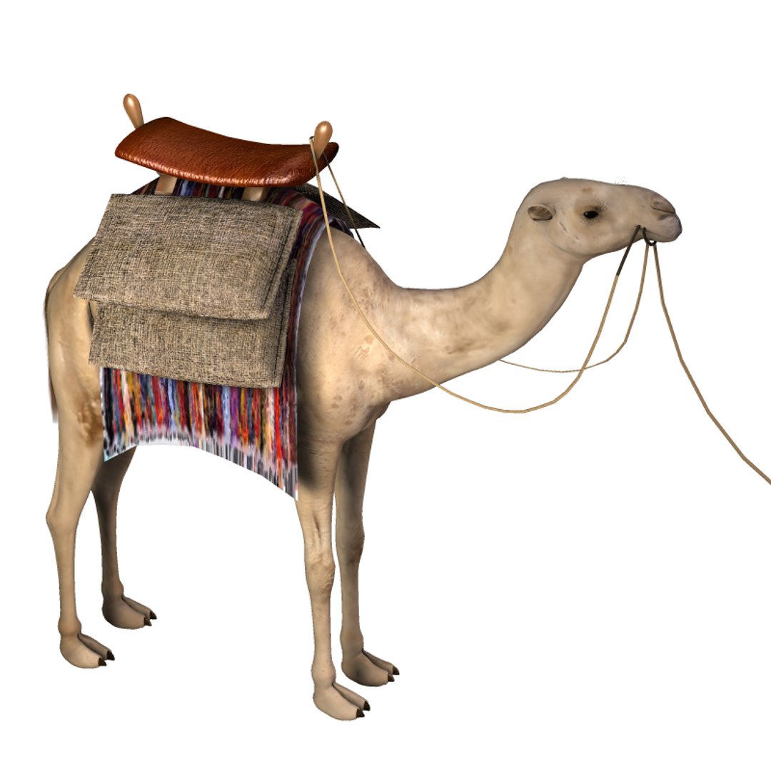 saddle bag poser prop 3d model https://p.turbosquid.com/ts-thumb/eo/MY2Qpu/QFaIpAhy/camelsaddlebags4/png/1417642101/1920x1080/fit_q87/e3e34a56b7bb9cbc933cbc5df657153e25fb053d/camelsaddlebags4.jpg