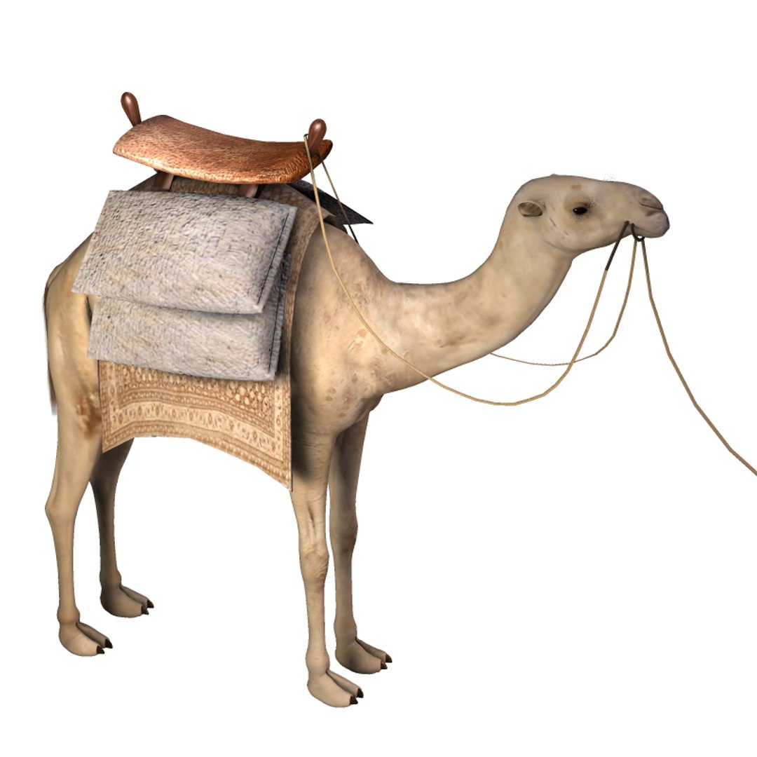 saddle bag poser prop 3d model https://p.turbosquid.com/ts-thumb/eo/MY2Qpu/r4Eoxu7s/camelsaddlebags3/png/1417642101/1920x1080/fit_q87/dbec759bda2ea0f535ebb217a0d3df8d0e19f0d2/camelsaddlebags3.jpg