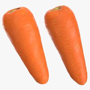 Fresh Carrot Collection 3D model