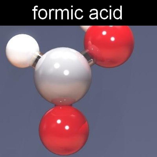 3d Model Of Molecule Formic Acid   Formicacid 