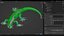 Phelsuma - Gecko diurno de Madagascar PBR aparejado