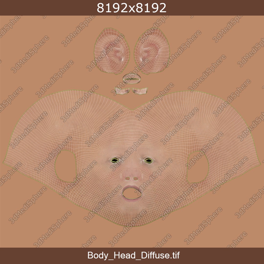 skin elder male skeleton 3D model https://p.turbosquid.com/ts-thumb/eo/cpWlED/gVceWIuS/body_head/png/1566499475/1920x1080/fit_q87/cae3797feaad74ae278f8a4cf1b6ee8f947b2a2b/body_head.jpg