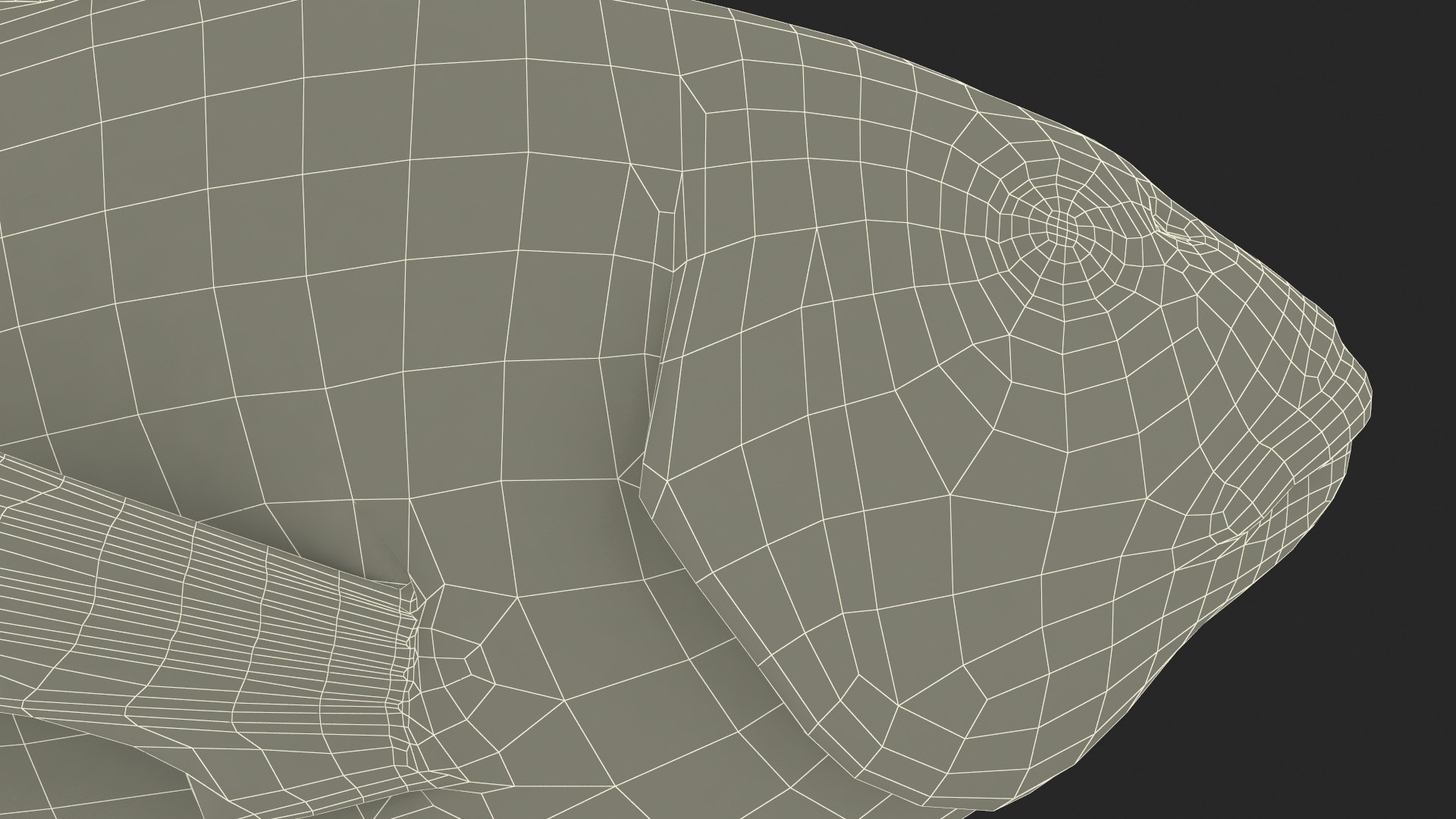 Gilthead Bream Fish Rigged for Cinema 4D model - TurboSquid 2177990