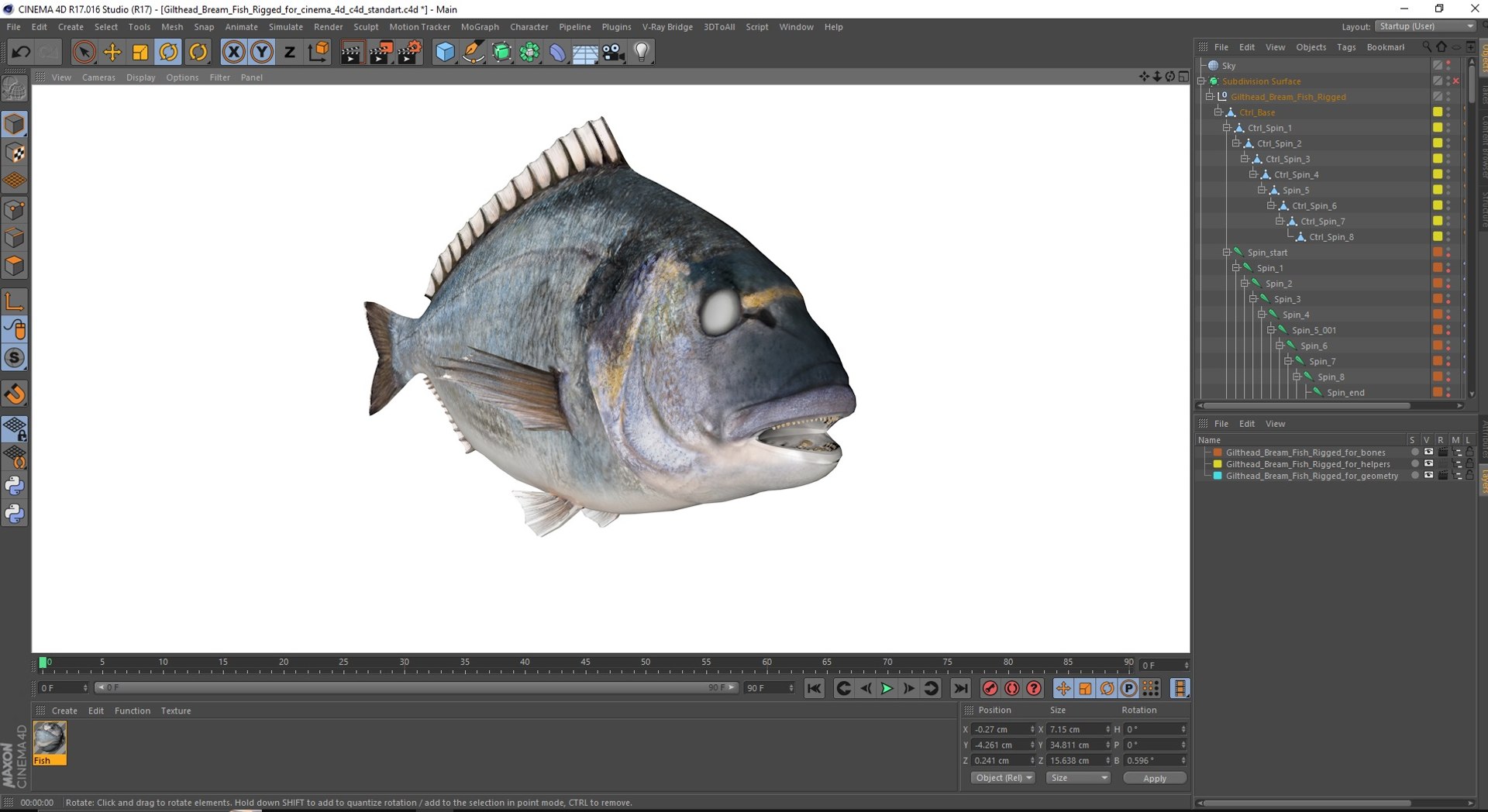 Gilthead Bream Fish Rigged for Cinema 4D model - TurboSquid 2177990