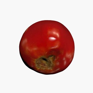 3D model Tomato 3D Scan High Quality