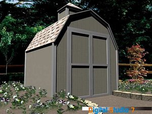 Shed1
