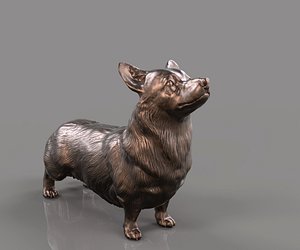Welsh Corgi Cardigan 3D model