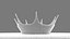 Liquid crown Pack Realflow 3D model