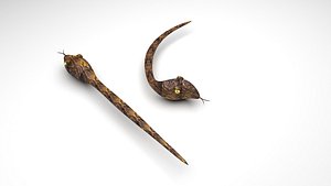 Snake With Straight Snake