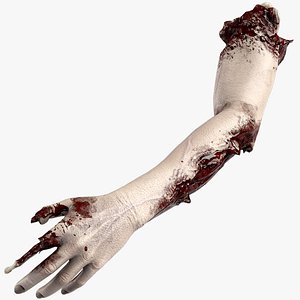 Severed Hand 3 3D model