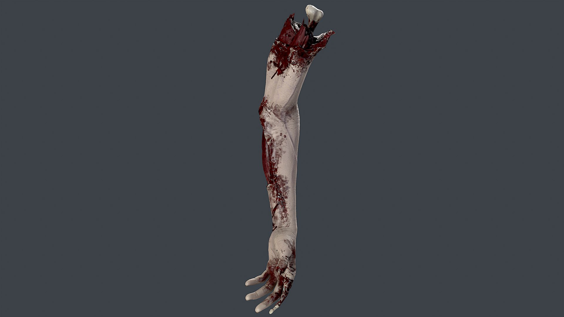 Severed Hand 3 3D model https://p.turbosquid.com/ts-thumb/eo/wPRT5n/H1/3/png/1656932502/1920x1080/fit_q87/117cc6ec2a0be9e48445692b6b9fe9265b8495b6/3.jpg