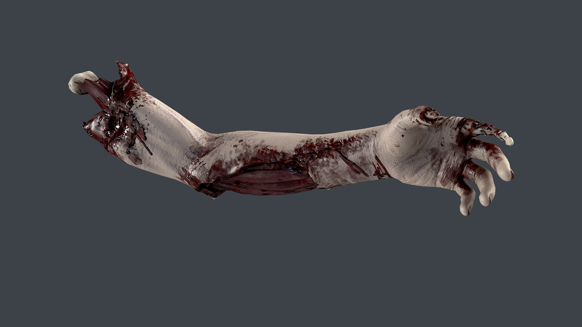Severed Hand 3 3D model https://p.turbosquid.com/ts-thumb/eo/wPRT5n/W4/9/png/1656932513/1920x1080/fit_q87/015a6e58a80528ba76ba624fcba3123d022bc197/9.jpg
