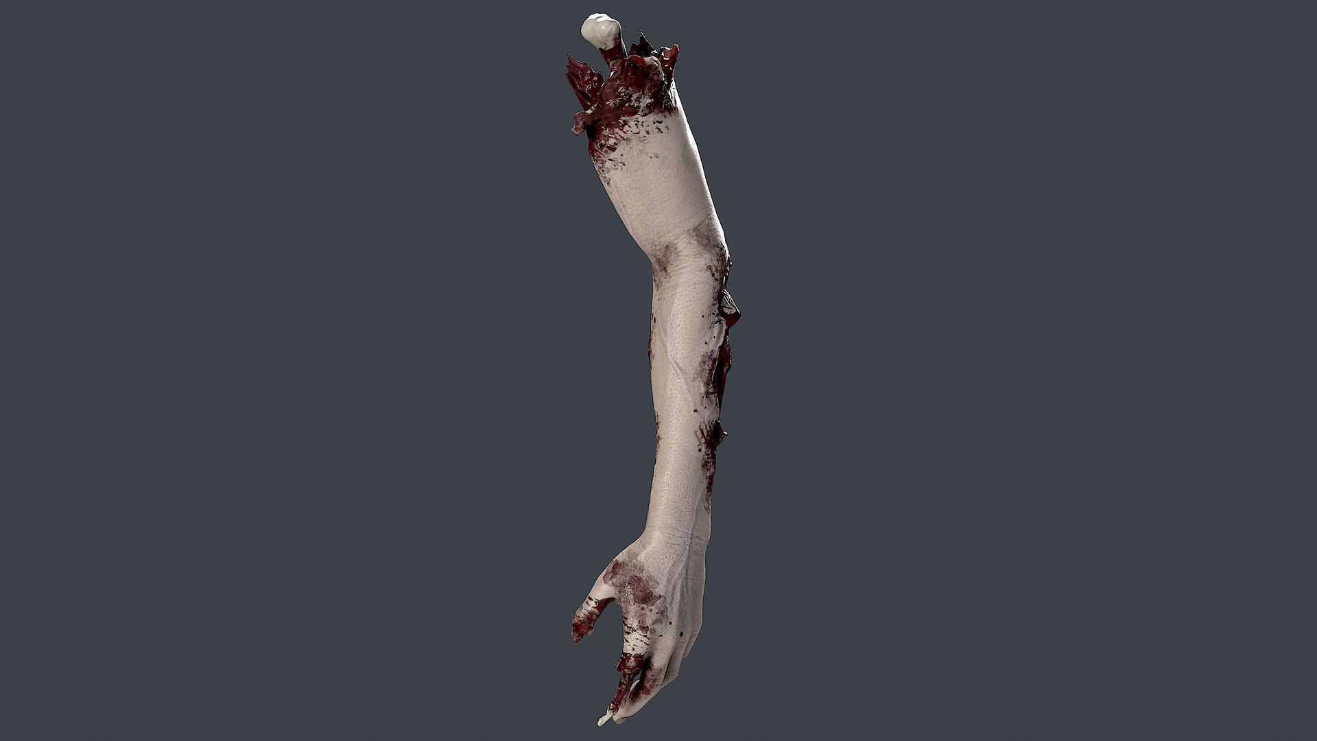 Severed Hand 3 3D model https://p.turbosquid.com/ts-thumb/eo/wPRT5n/YW/2/png/1656932508/1920x1080/fit_q87/6d673a308cb3928b050e686c13f51674f9358094/2.jpg