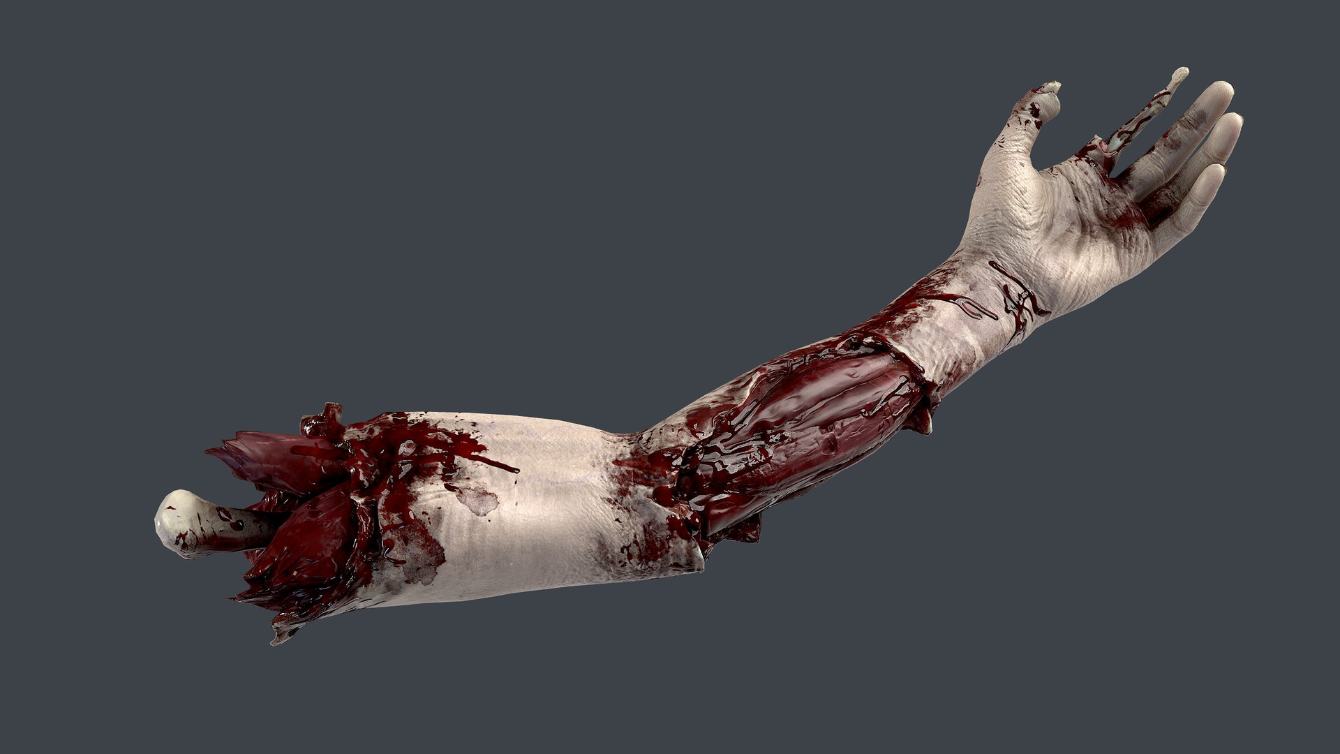 Severed Hand 3 3D model https://p.turbosquid.com/ts-thumb/eo/wPRT5n/Zc/11/png/1656932516/1920x1080/fit_q87/e3afb232d3315260de7527cd14010676195e3777/11.jpg