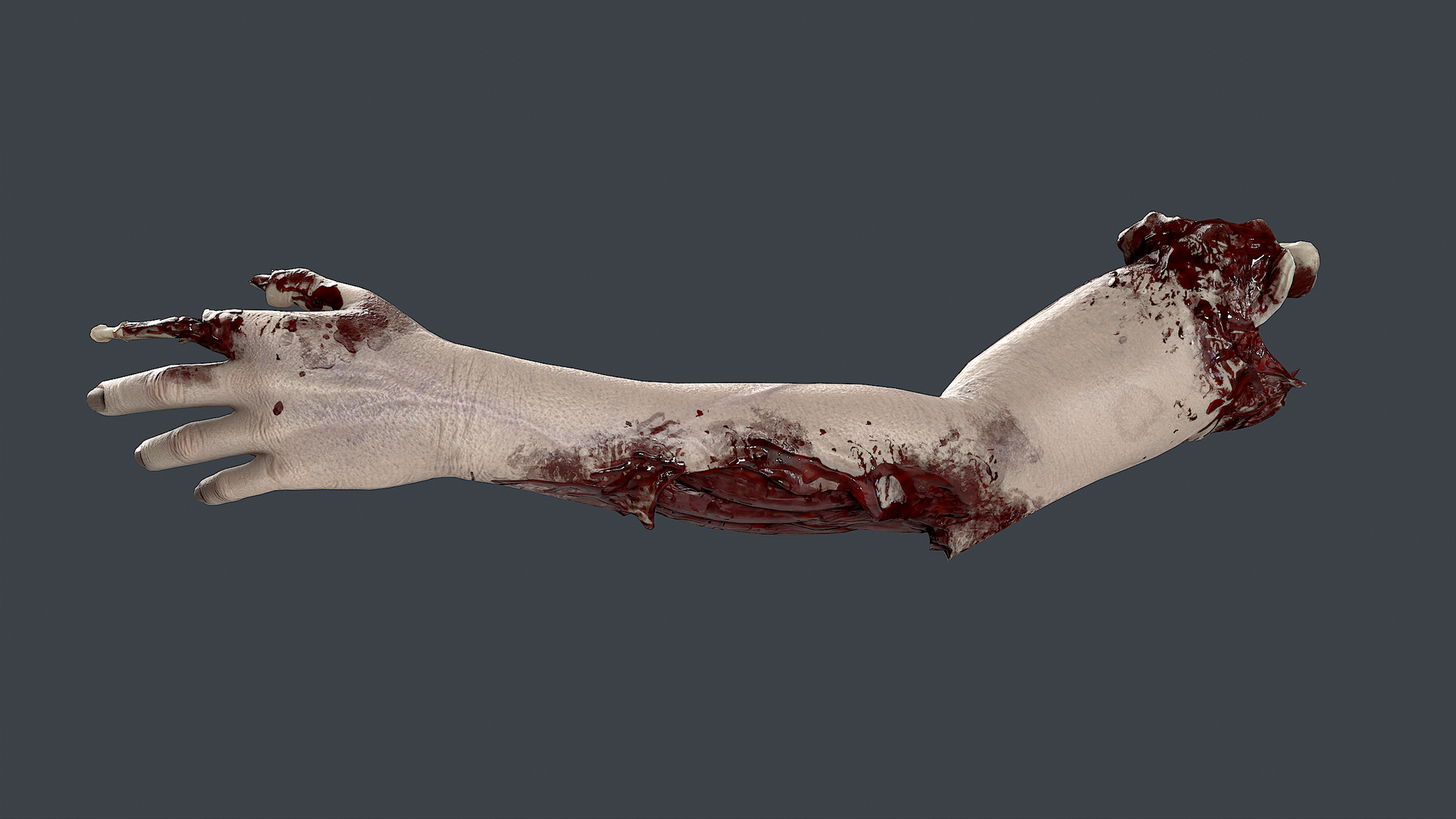 Severed Hand 3 3D model https://p.turbosquid.com/ts-thumb/eo/wPRT5n/fg/untitled/png/1656932623/1920x1080/turn_fit_q99/524868c7913b0e205680eb20c68482b5a5499d48/untitled-1.jpg