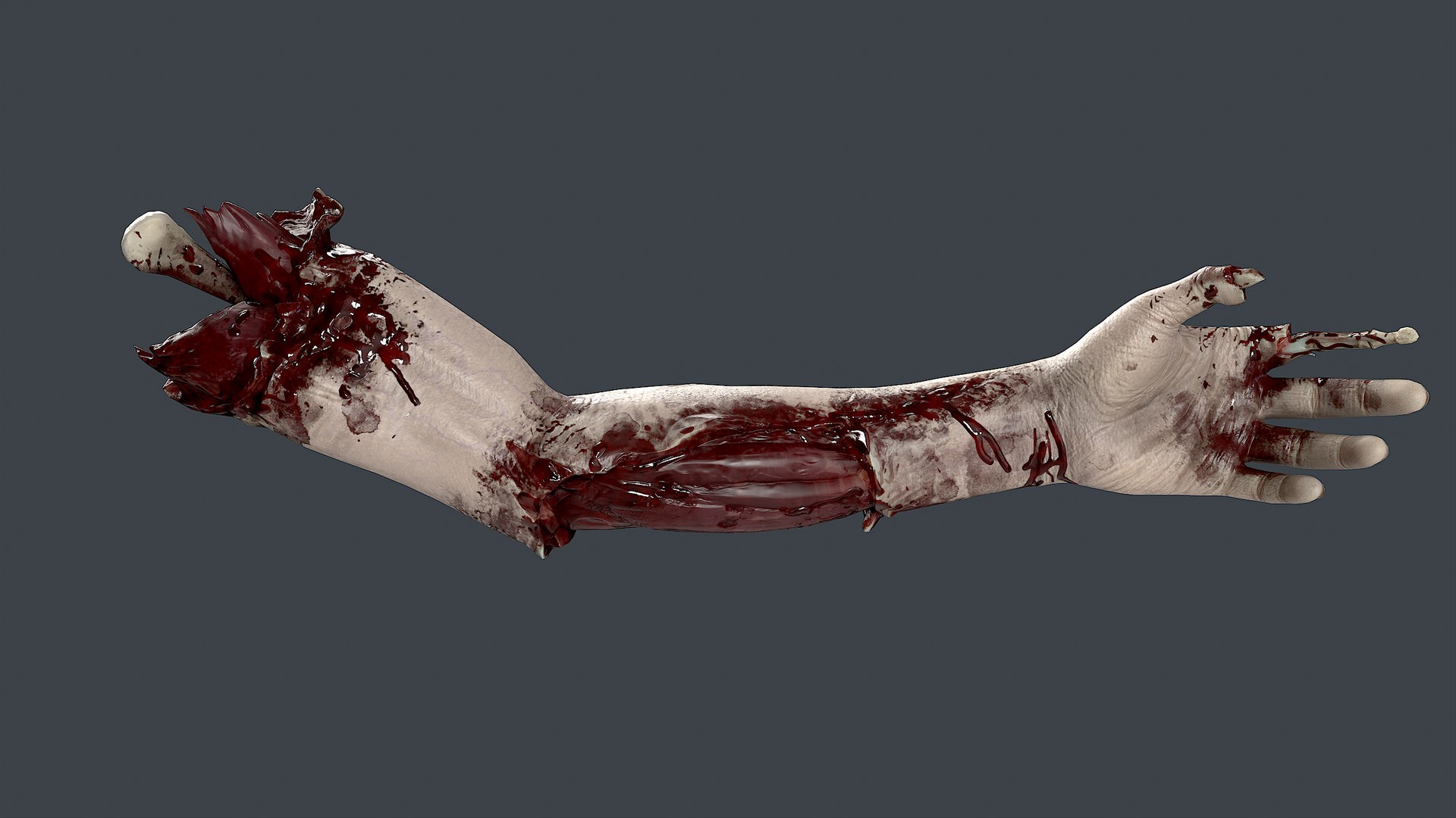 Severed Hand 3 3D model https://p.turbosquid.com/ts-thumb/eo/wPRT5n/pM/7/png/1656932510/1920x1080/fit_q87/7f75c46f5053ed96af80da0c08c734797bbde537/7.jpg