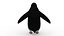 pinguino
