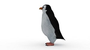penguin 3D model