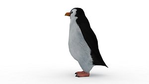 penguin