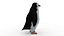 pinguino