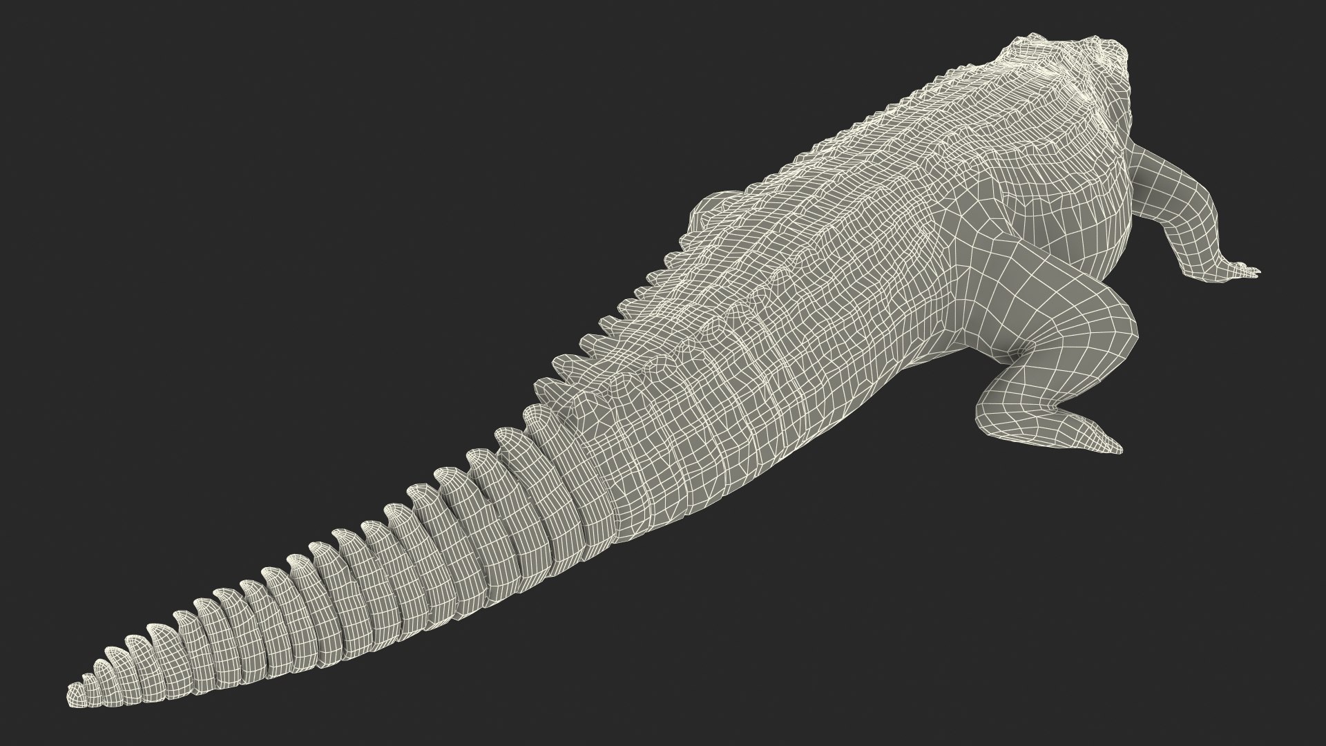 Crocodile walking animal rigged 3D model - TurboSquid 1447341