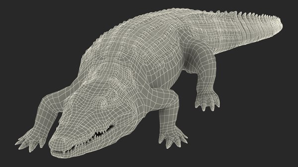 Crocodile walking animal rigged 3D model - TurboSquid 1447341