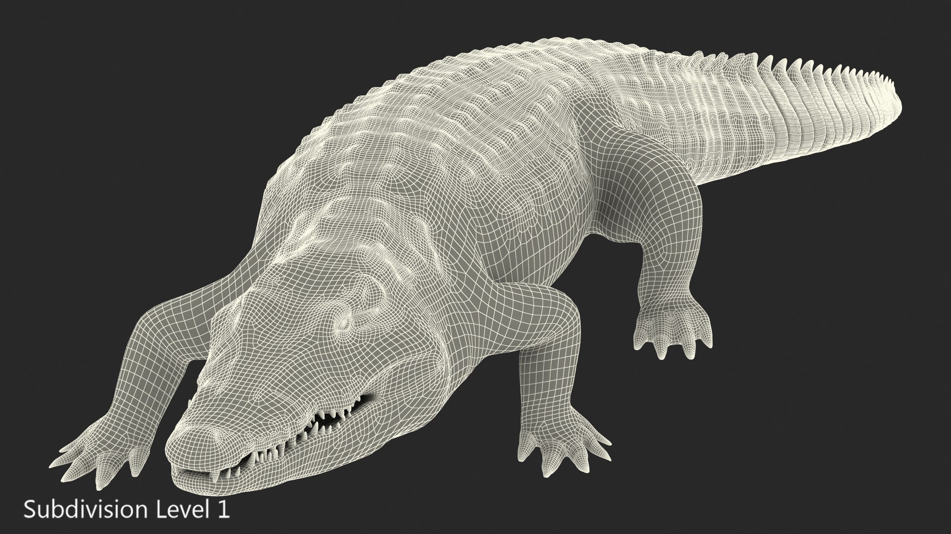 Crocodile Walking Animal Rigged 3D Model - TurboSquid 1447341