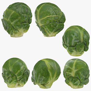 Brussels Sprout Collection