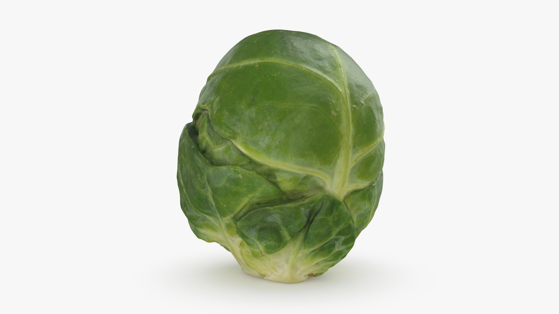 3D Brussels Sprout Collection model https://p.turbosquid.com/ts-thumb/ep/9qu5IC/87/brusselssprout01_a0001/jpg/1735043417/1920x1080/fit_q87/7c6a014fdc8842f4f03ddd02e090507dd46579cd/brusselssprout01_a0001.jpg