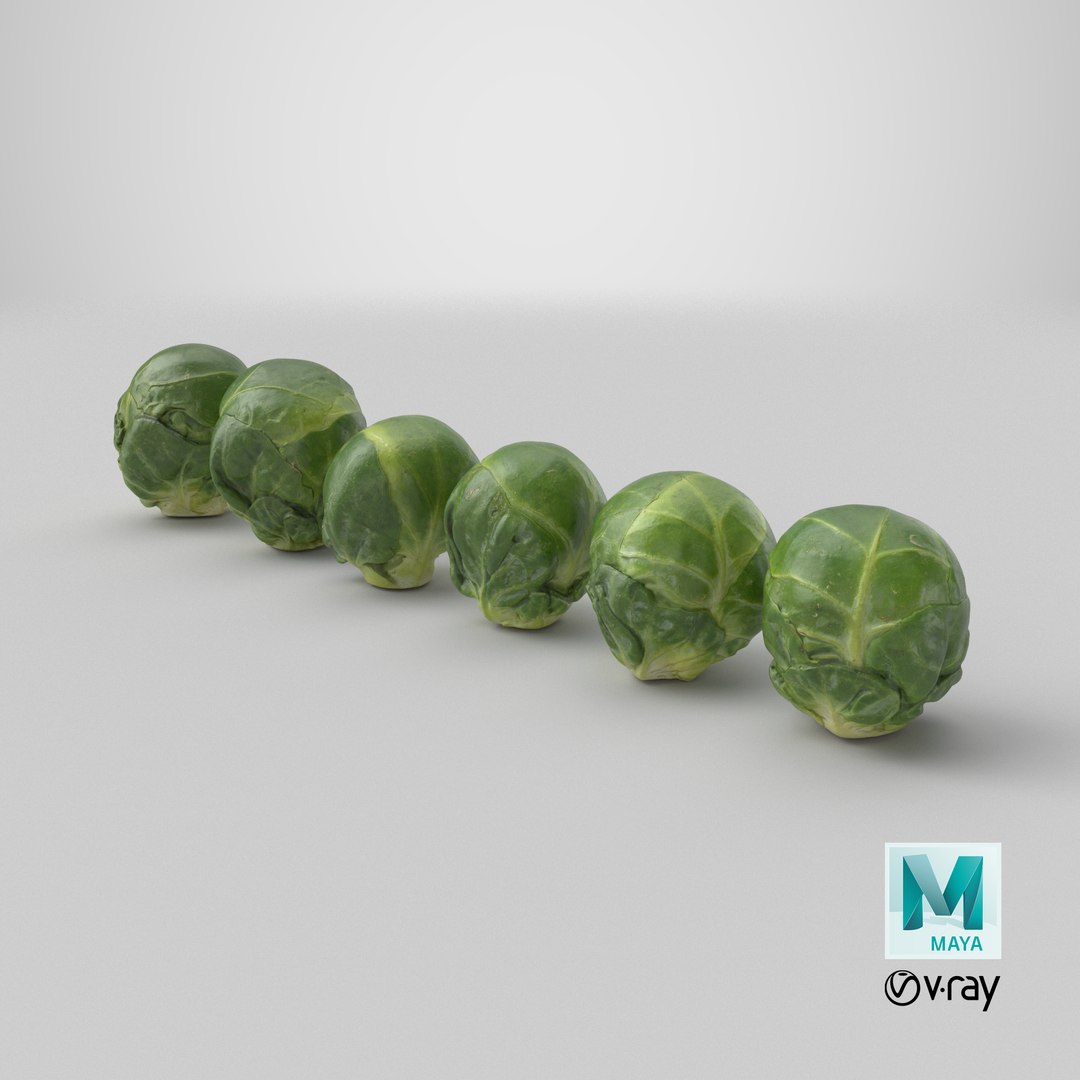 3D Brussels Sprout Collection model https://p.turbosquid.com/ts-thumb/ep/9qu5IC/Cy/stemcell_maya_vray_render/png/1736874341/1920x1080/fit_q87/69bd7a6a6851b901116ebaa21771a97143b9a592/stemcell_maya_vray_render.jpg