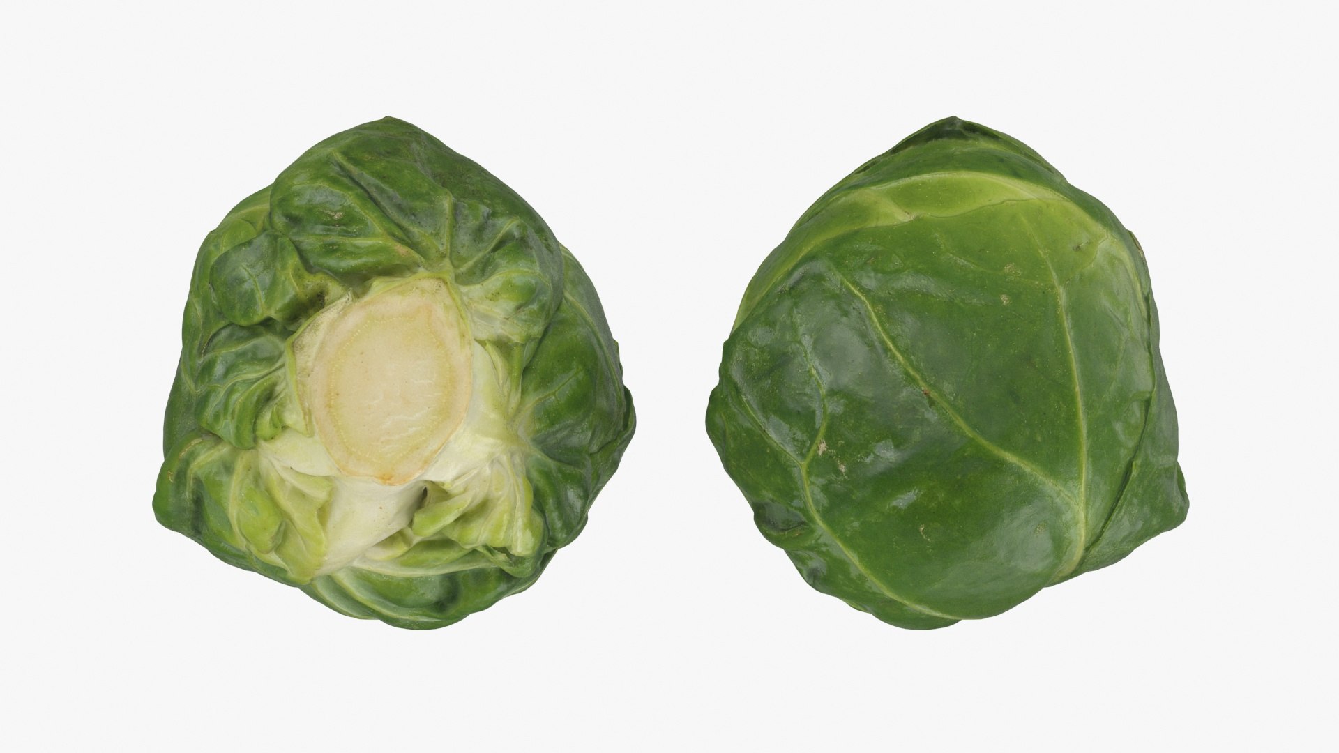 3D Brussels Sprout Collection model https://p.turbosquid.com/ts-thumb/ep/9qu5IC/Dt/brusselssprout02_a0002/jpg/1735832803/1920x1080/fit_q87/67f2ef6a02f9625b14d87b48262db060a46a5d73/brusselssprout02_a0002.jpg