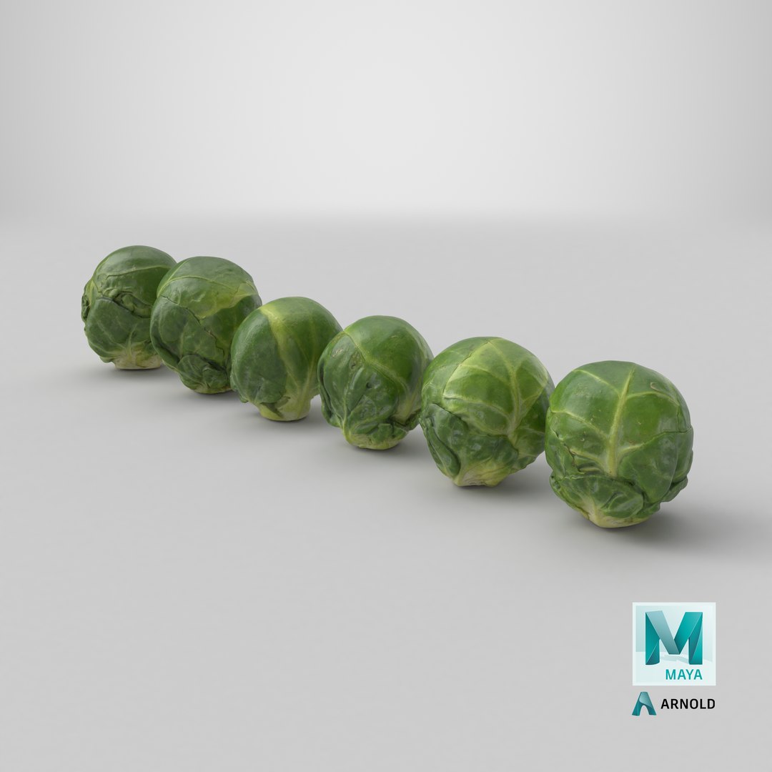 3D Brussels Sprout Collection model https://p.turbosquid.com/ts-thumb/ep/9qu5IC/K2/stemcell_maya_arnold_render/png/1736874339/1920x1080/fit_q87/d7e7625b44daa45c1d5802c7aa9e292e45b383cb/stemcell_maya_arnold_render.jpg