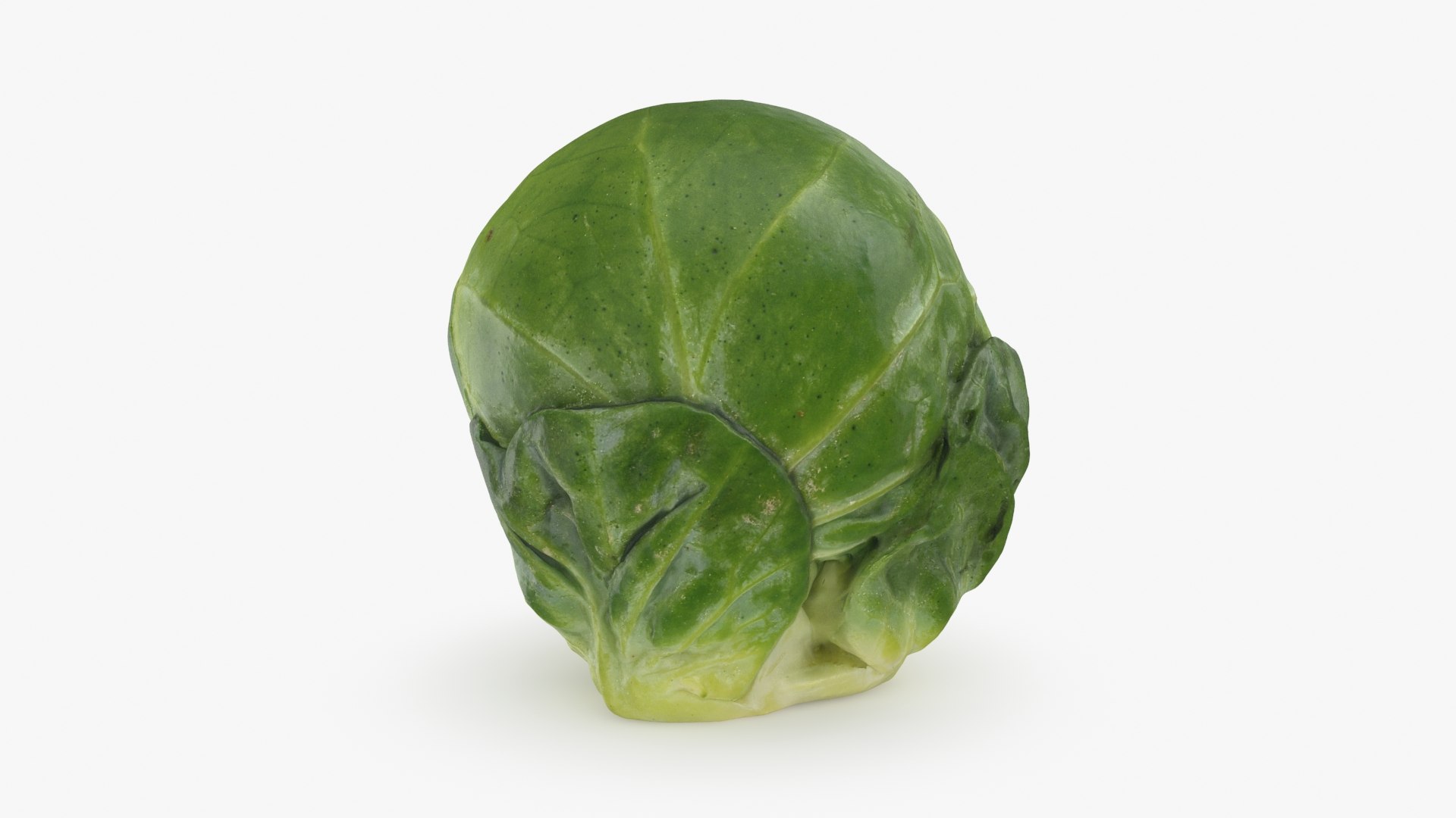 3D Brussels Sprout Collection model https://p.turbosquid.com/ts-thumb/ep/9qu5IC/Nj/brusselssprout05_a0001/jpg/1734597889/1920x1080/fit_q87/bad8a730a698095aac4f9c4ce8ed55a925b87c5a/brusselssprout05_a0001.jpg