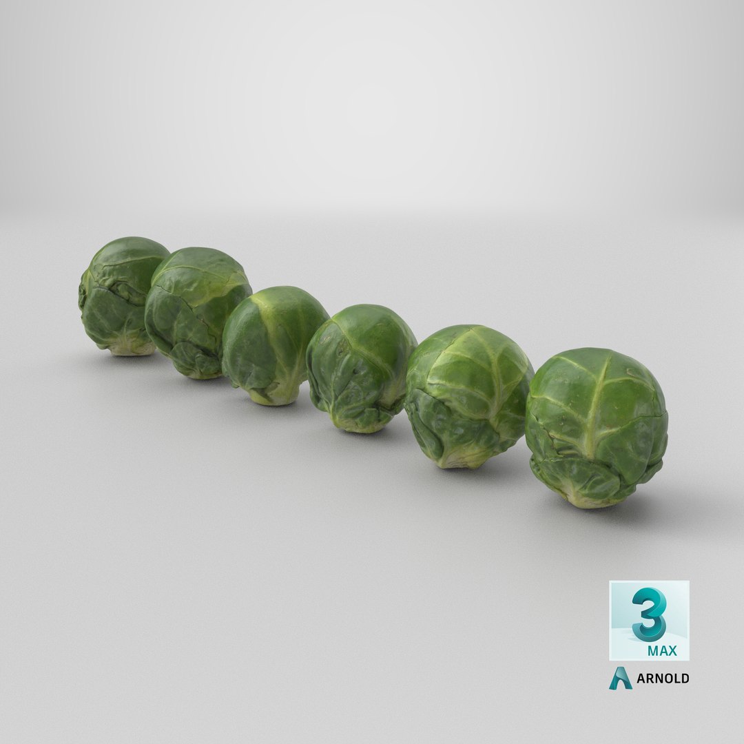 3D Brussels Sprout Collection model https://p.turbosquid.com/ts-thumb/ep/9qu5IC/Pz/stemcell_max_arnold_render/png/1736874349/1920x1080/fit_q87/4c6572fe37e6b7304eeb380cfe6bc1ba182a622d/stemcell_max_arnold_render.jpg