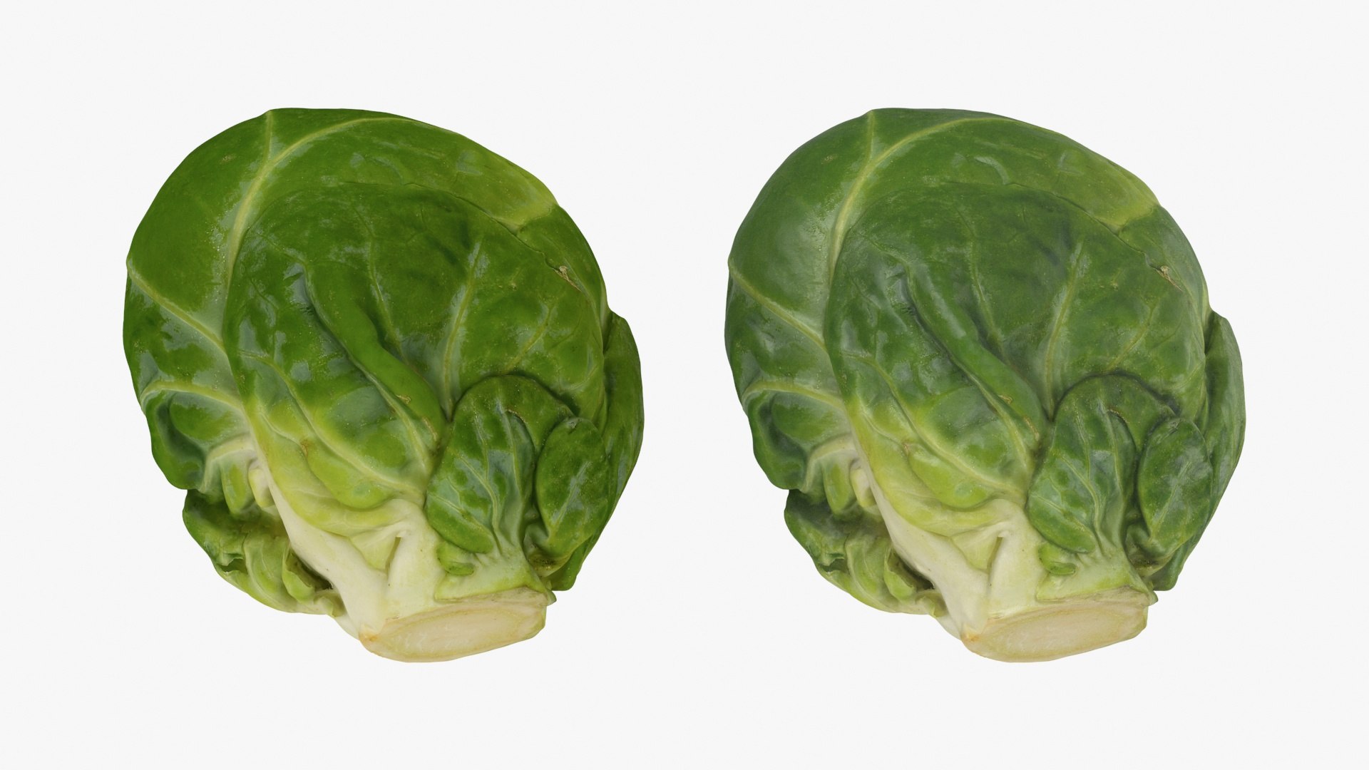 3D Brussels Sprout Collection model https://p.turbosquid.com/ts-thumb/ep/9qu5IC/Wv/brusselssprout02_a0003/jpg/1735832804/1920x1080/fit_q87/35b1656c7beabe9a3659b2333d577dd9aec394ee/brusselssprout02_a0003.jpg