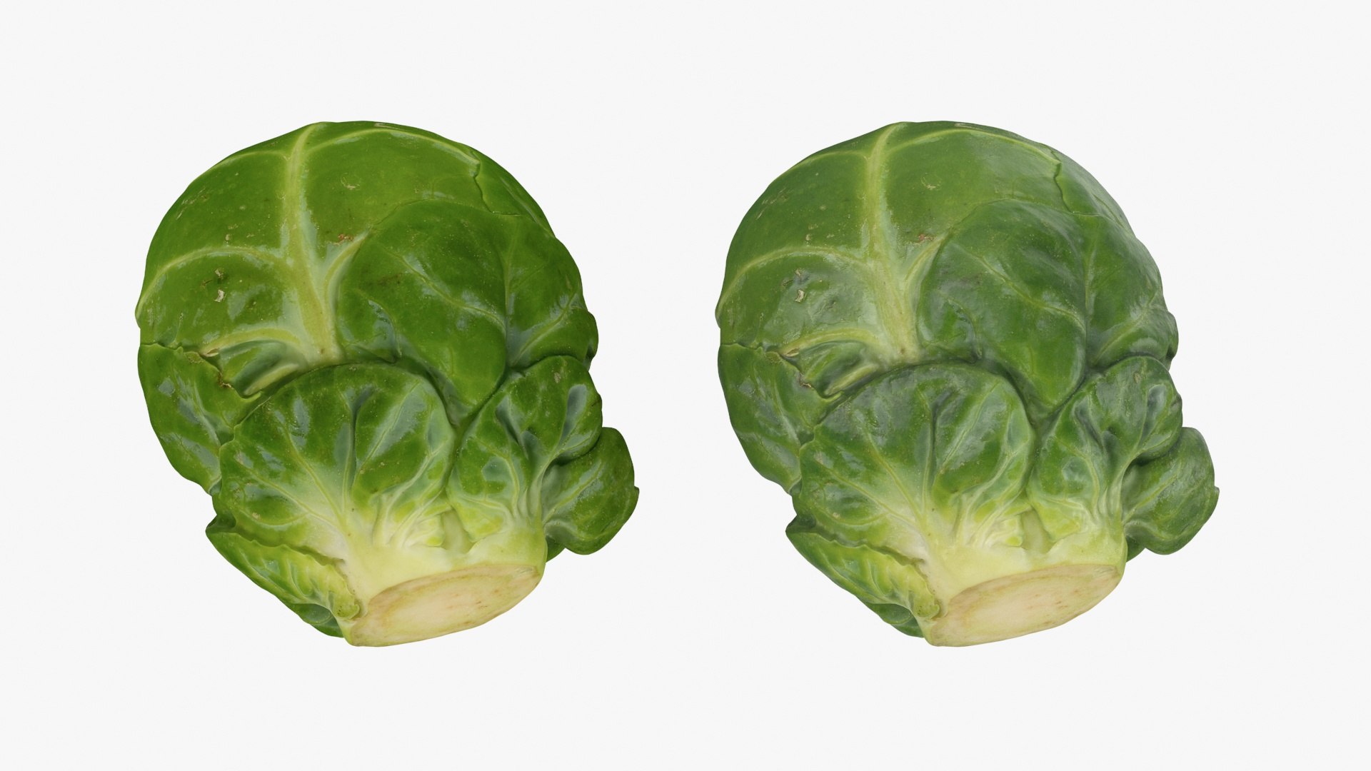 3D Brussels Sprout Collection model https://p.turbosquid.com/ts-thumb/ep/9qu5IC/d2/brusselssprout06_a0003/jpg/1735832862/1920x1080/fit_q87/982a3b3d2cae18f09a53a37ea9a0f548681d9a76/brusselssprout06_a0003.jpg